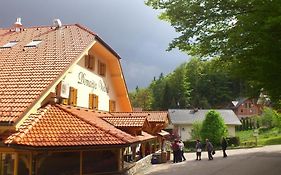 Domacija Vodnik & Apartments
