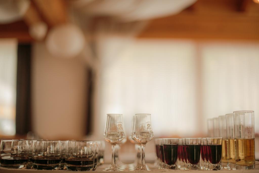 Domacija Vodnik & Apartments Cerklje na Gorenjskem Kültér fotó